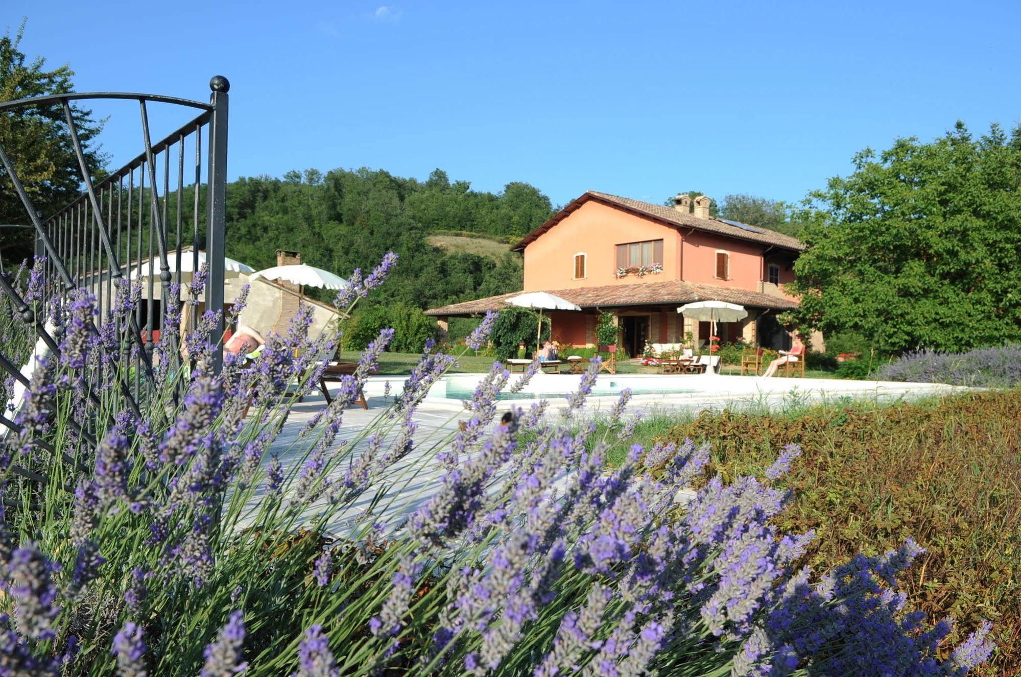 Agriturismo La Rosa Tea Urbania Exterior photo